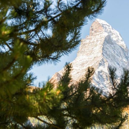 Bed & Breakfast Bijou Zermatt Eksteriør billede