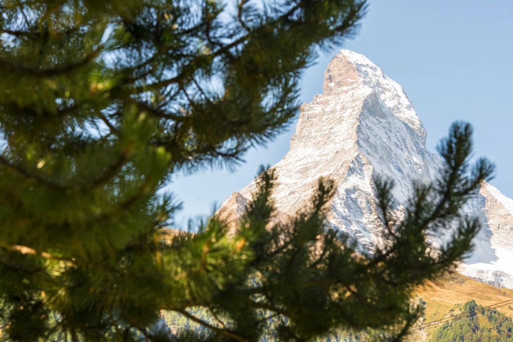 Bed & Breakfast Bijou Zermatt Eksteriør billede